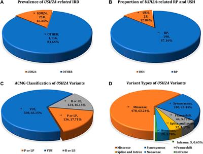 Genetic Characteristics and Variation Spectrum of USH2A-Related Retinitis Pigmentosa and Usher Syndrome